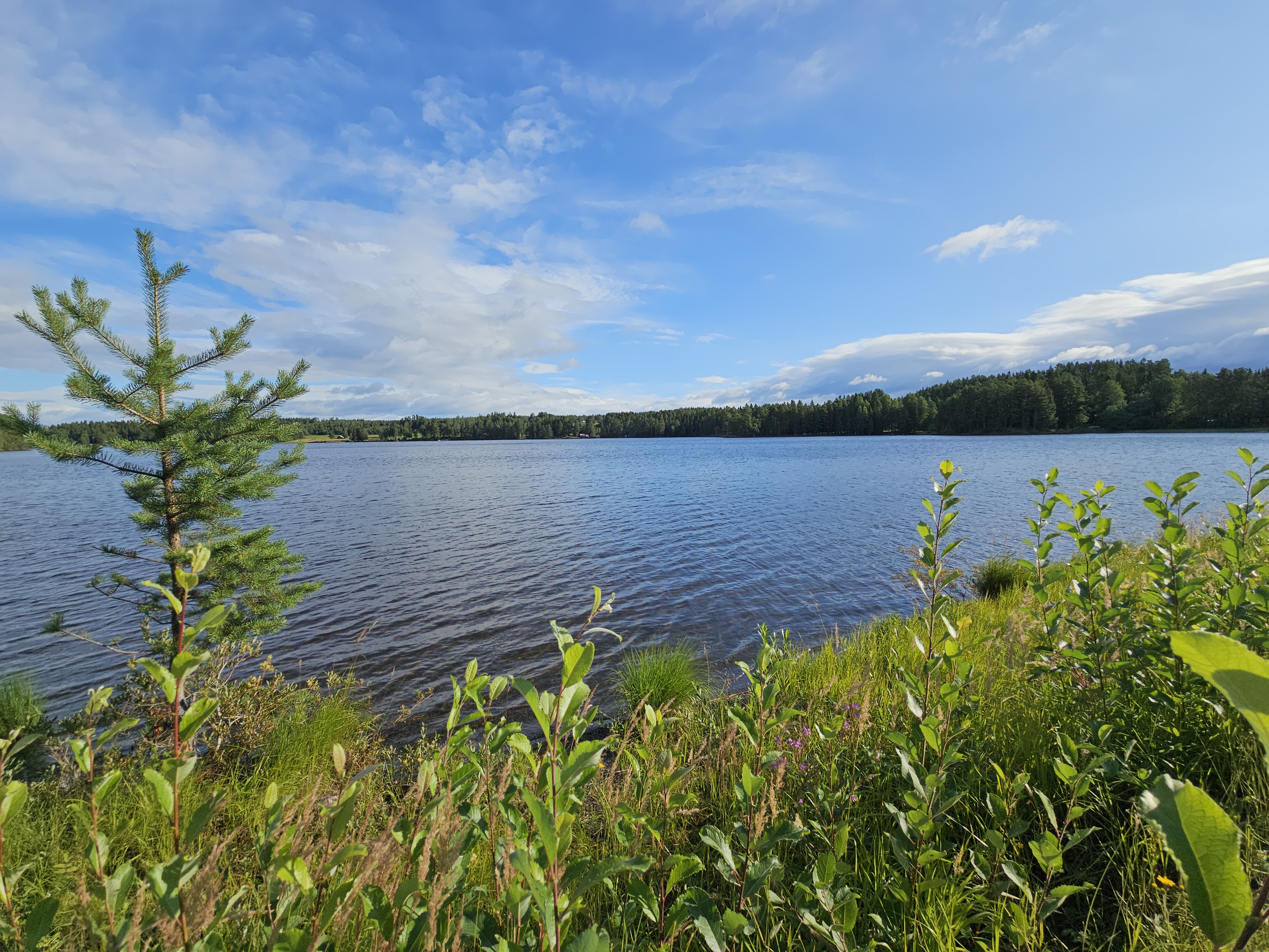 Blick auf See