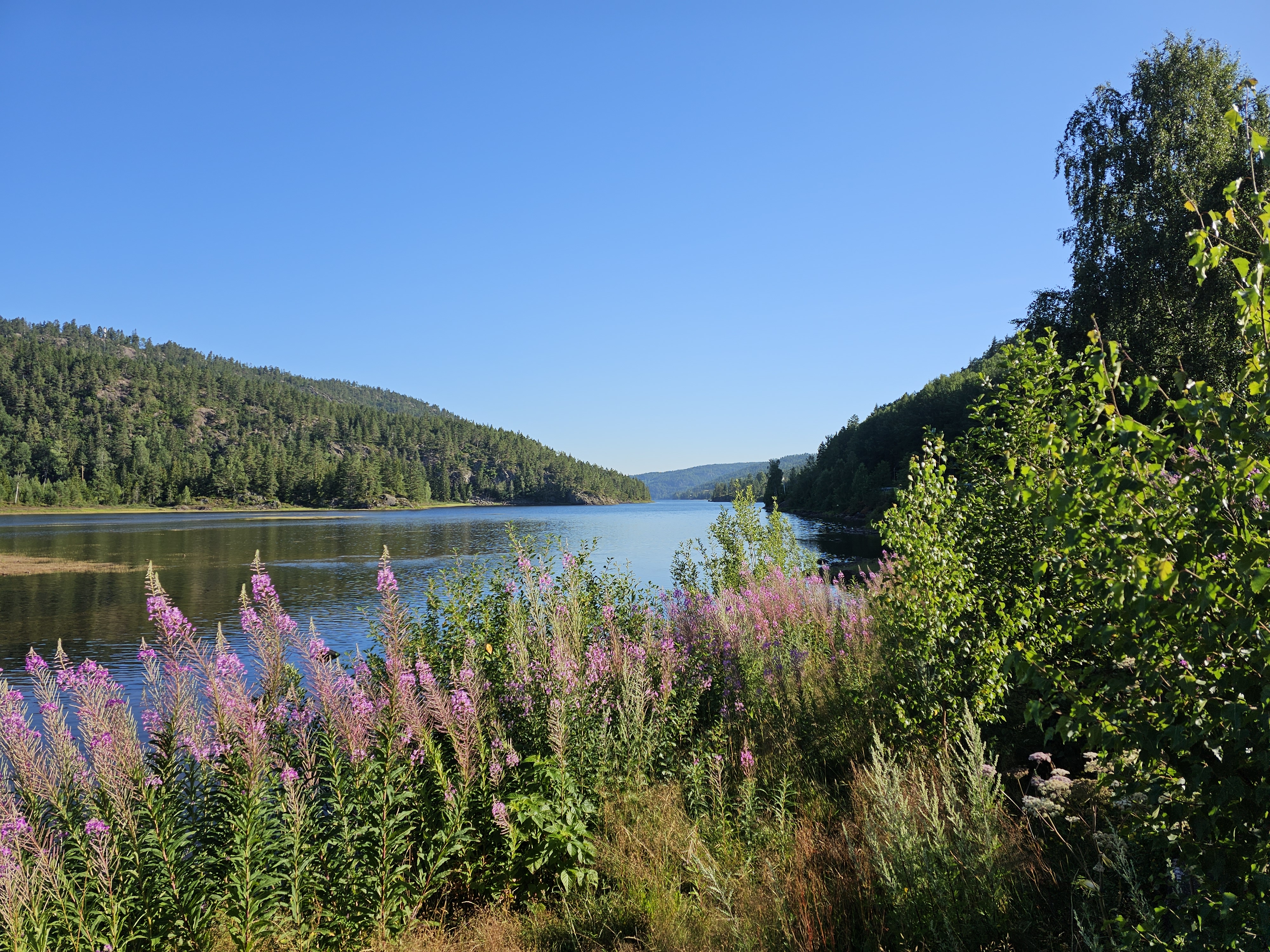 Tovdalselva