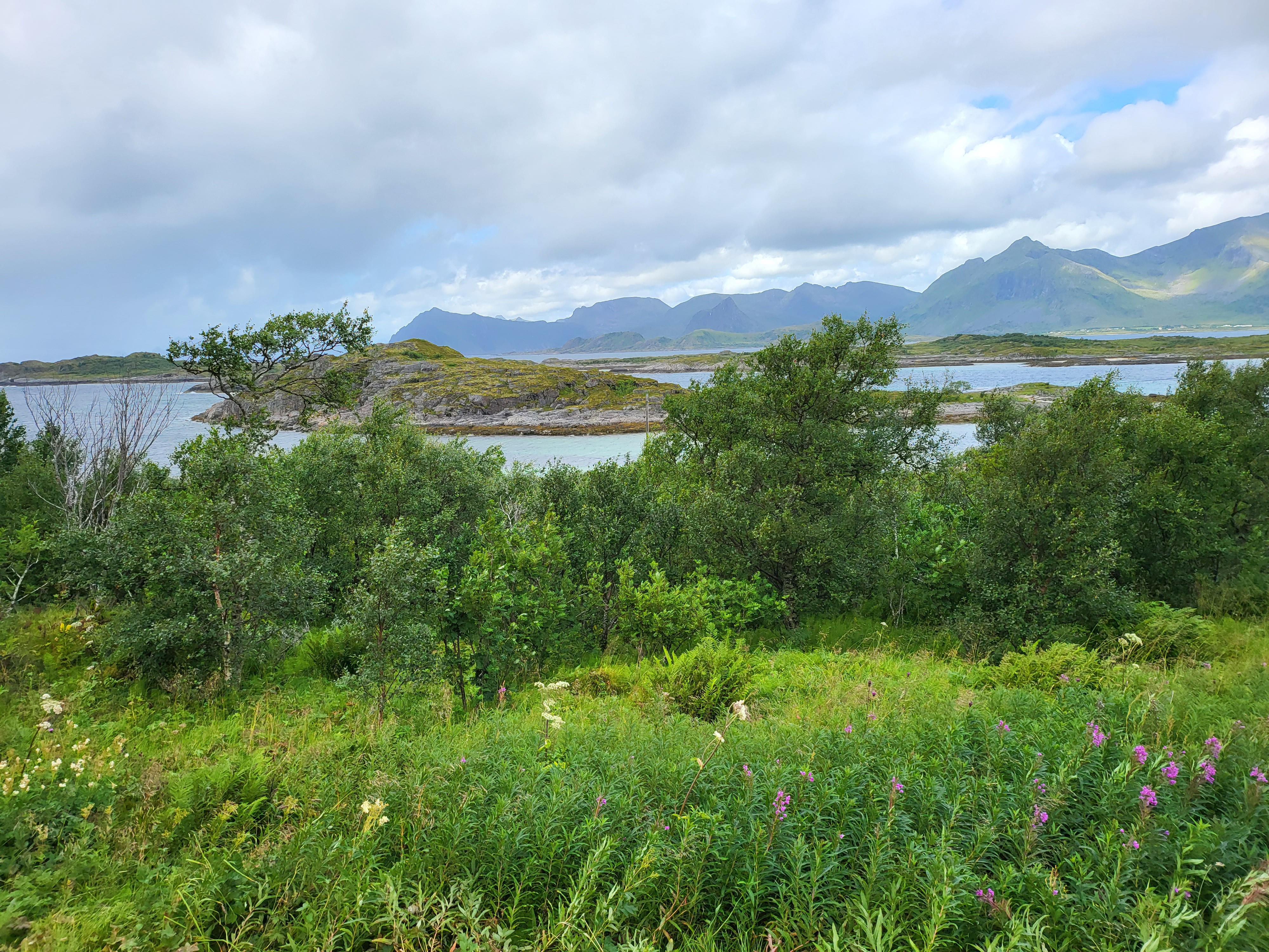 Landschaft