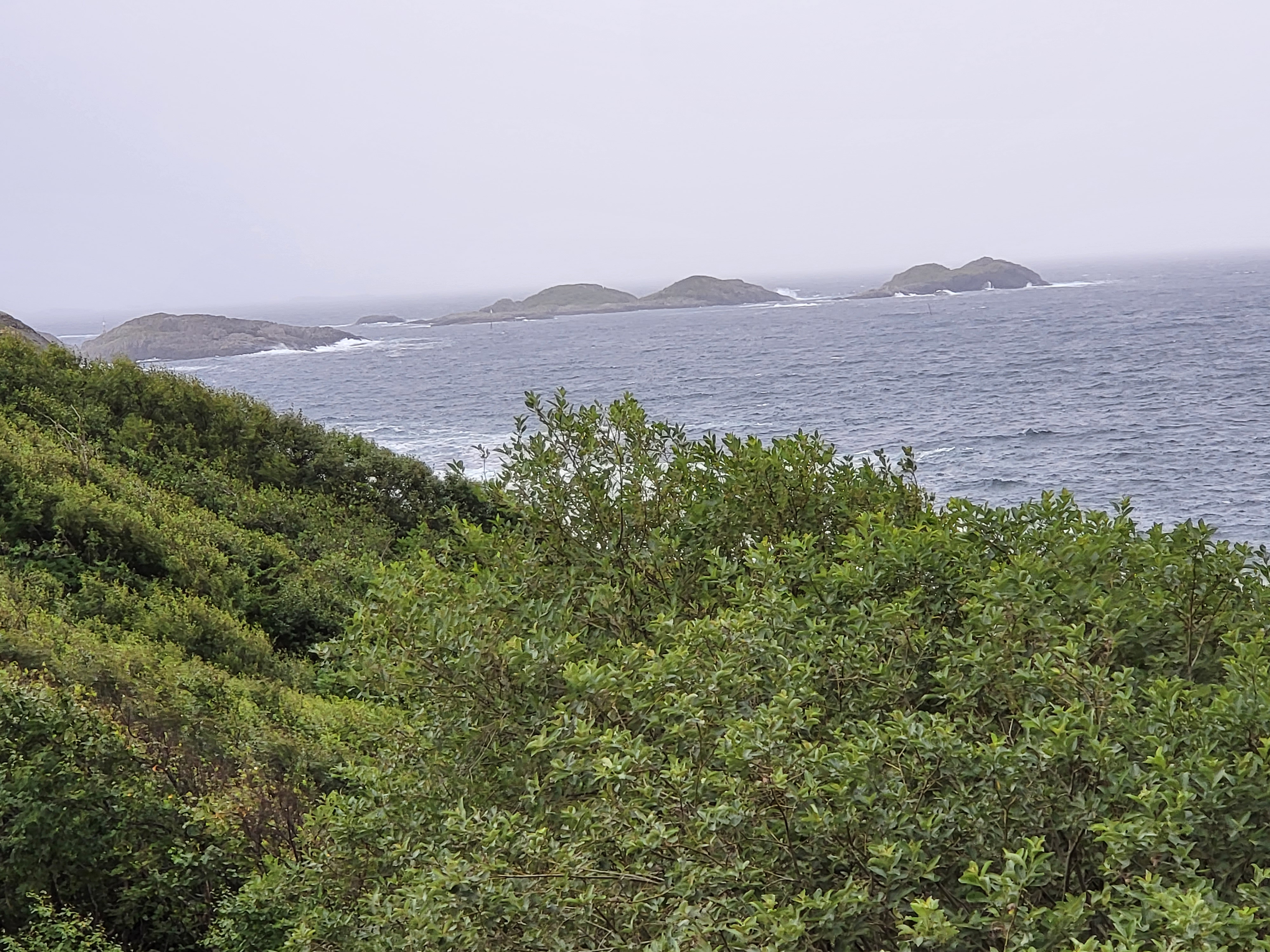 Landschaft