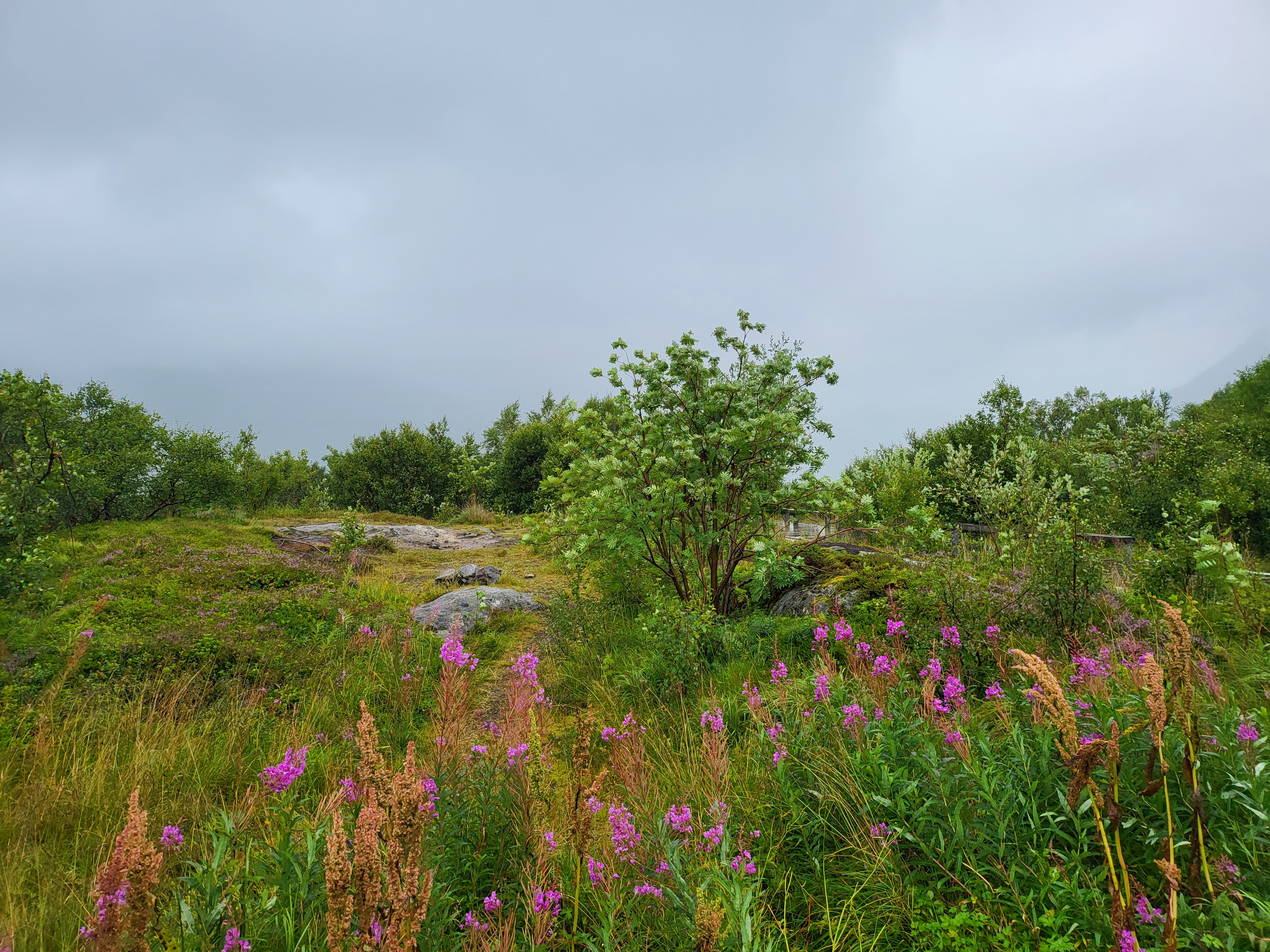 Landschaft