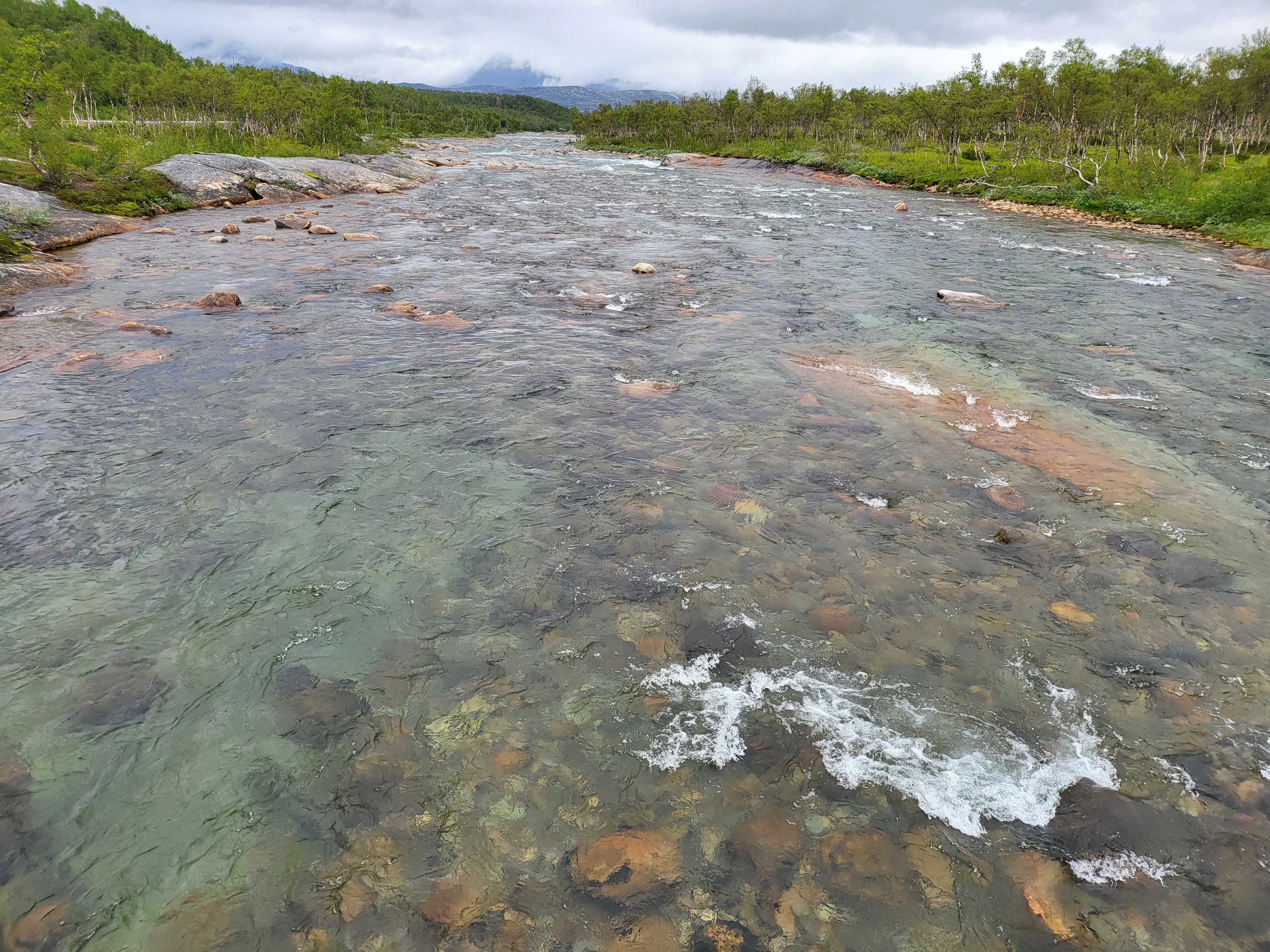 Fluss