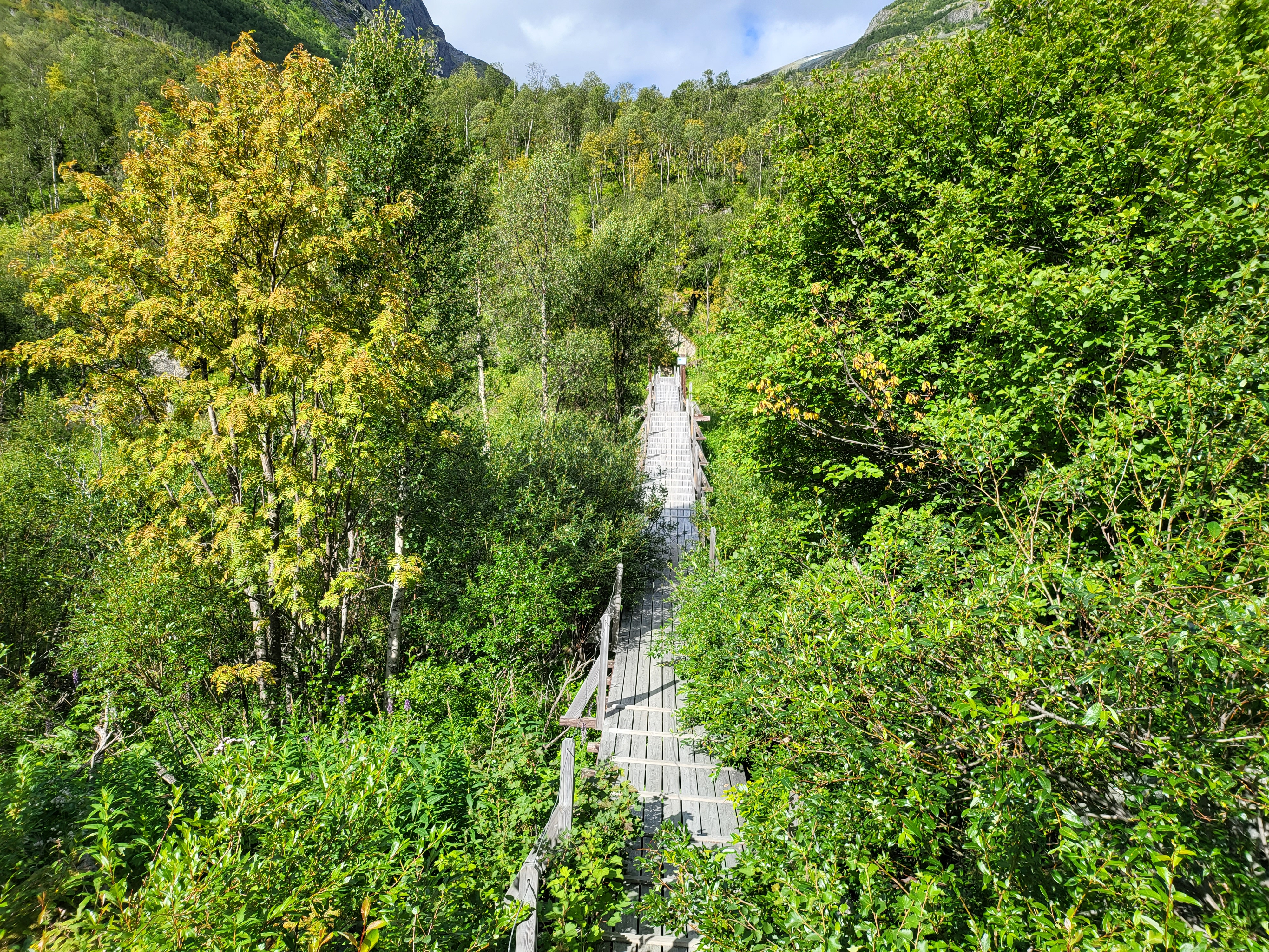 Landschaft