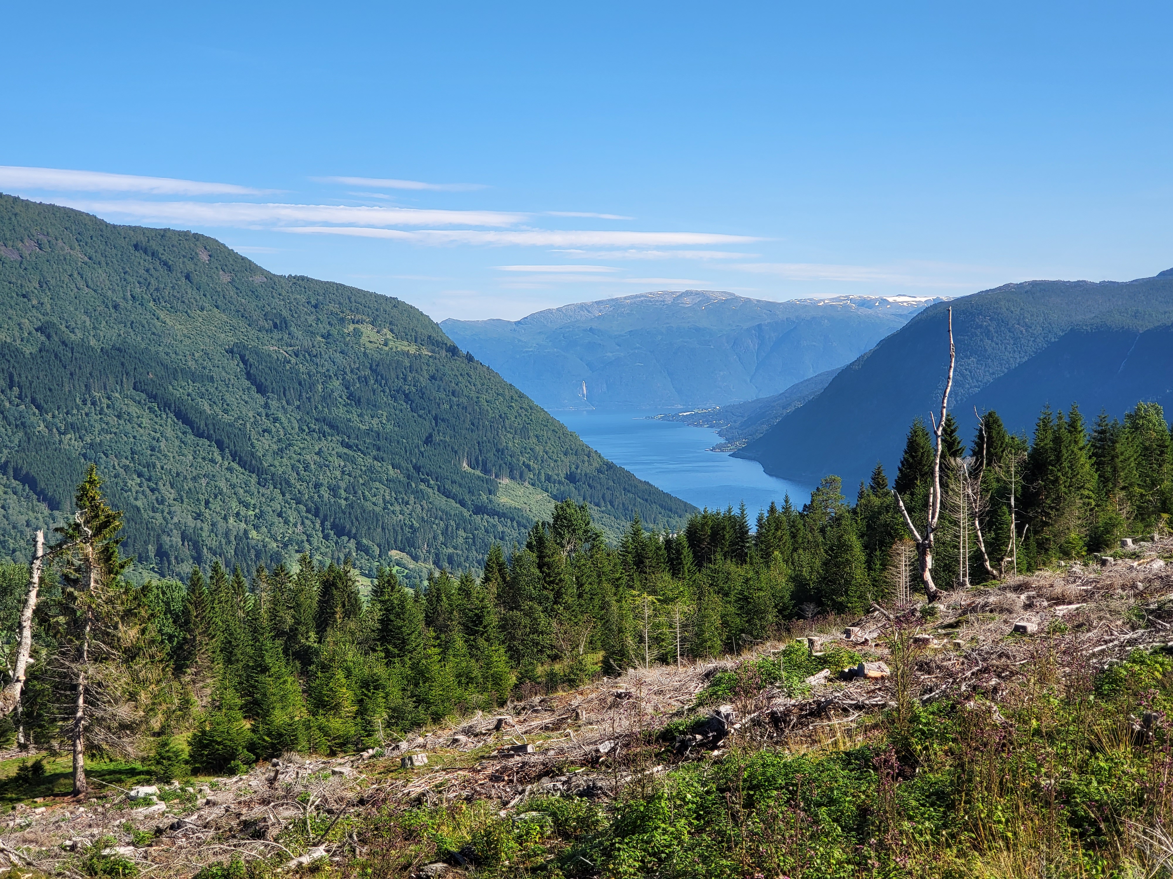 Blick von der Plattform