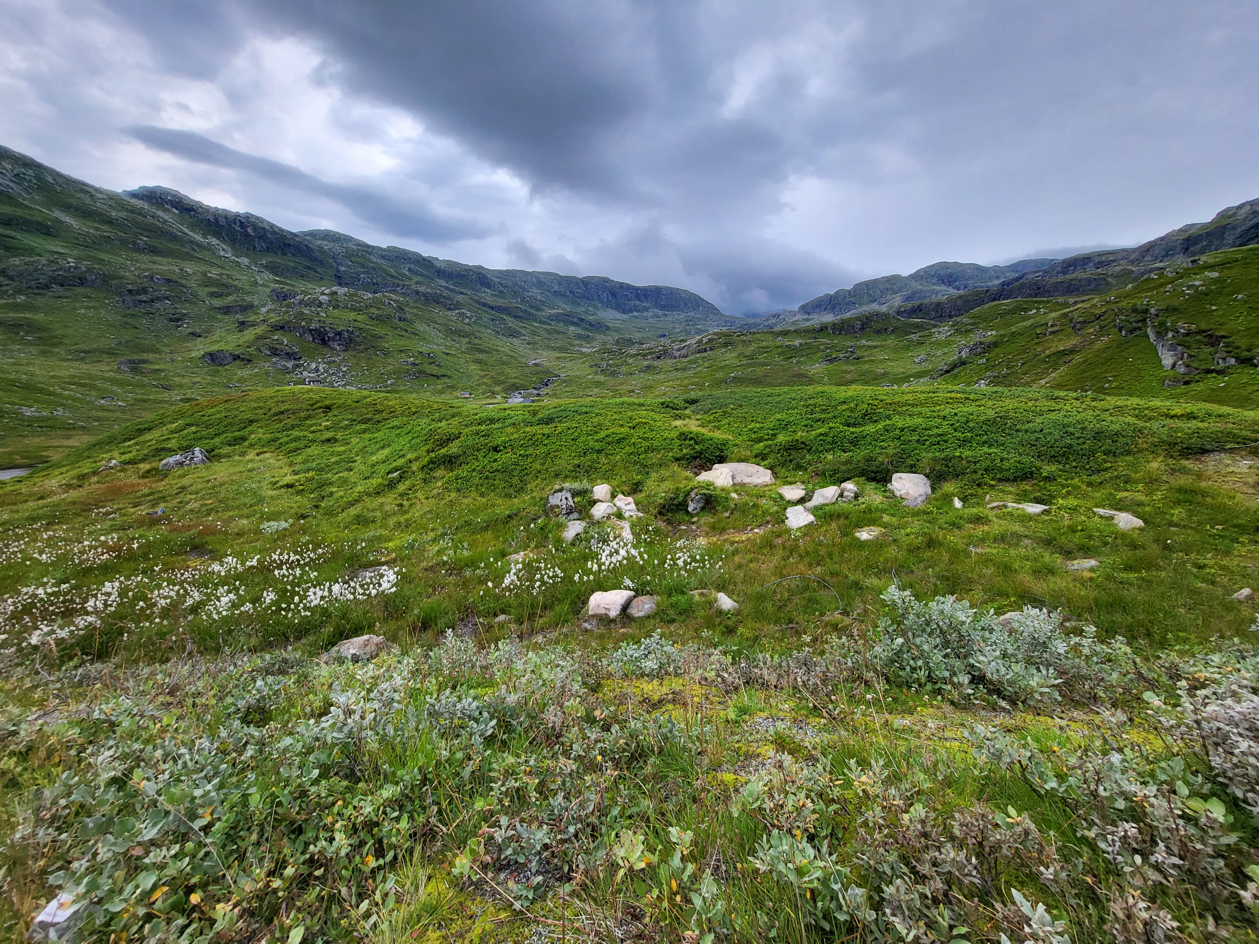 Dalsnibba
