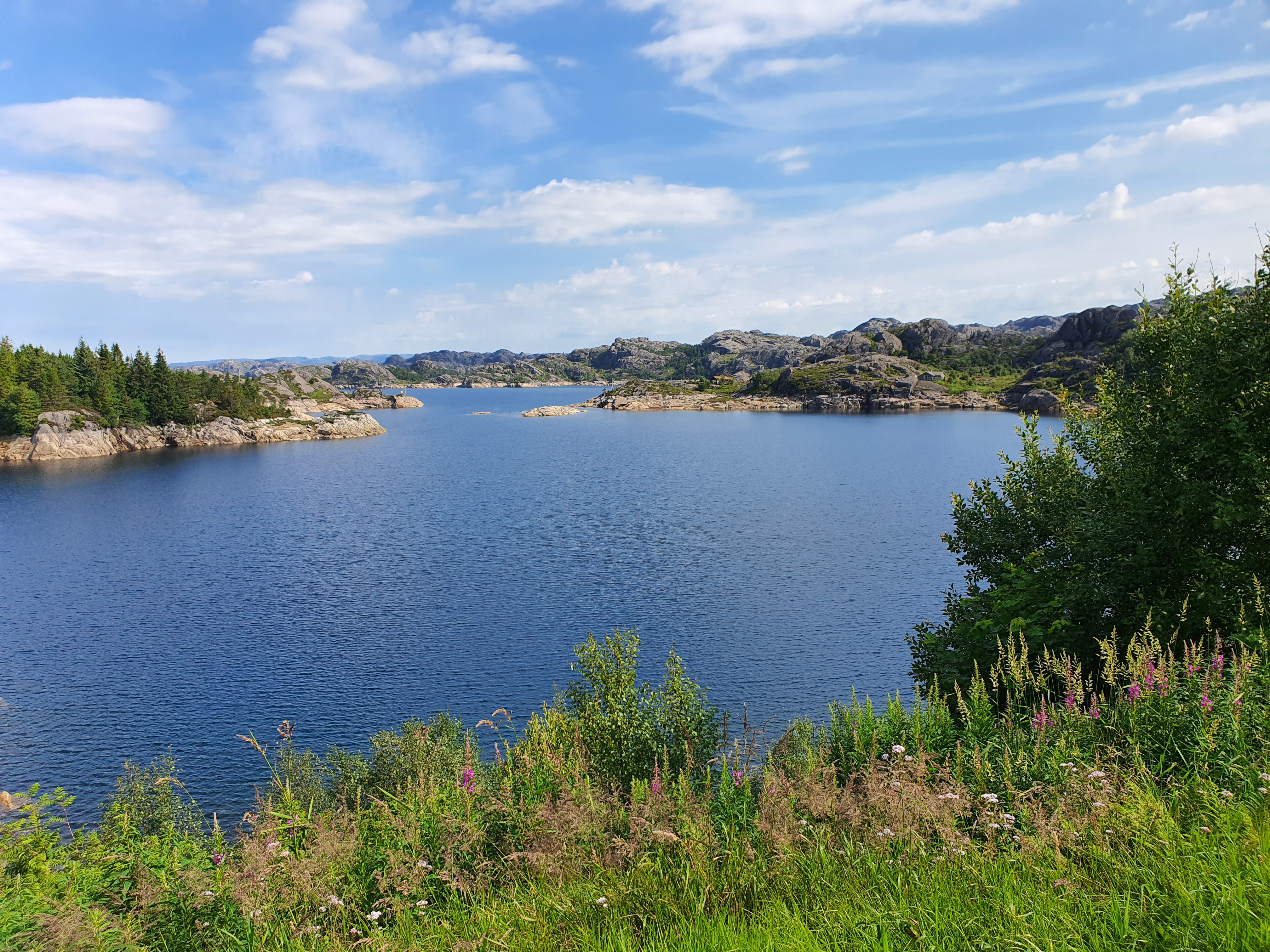 Landschaft