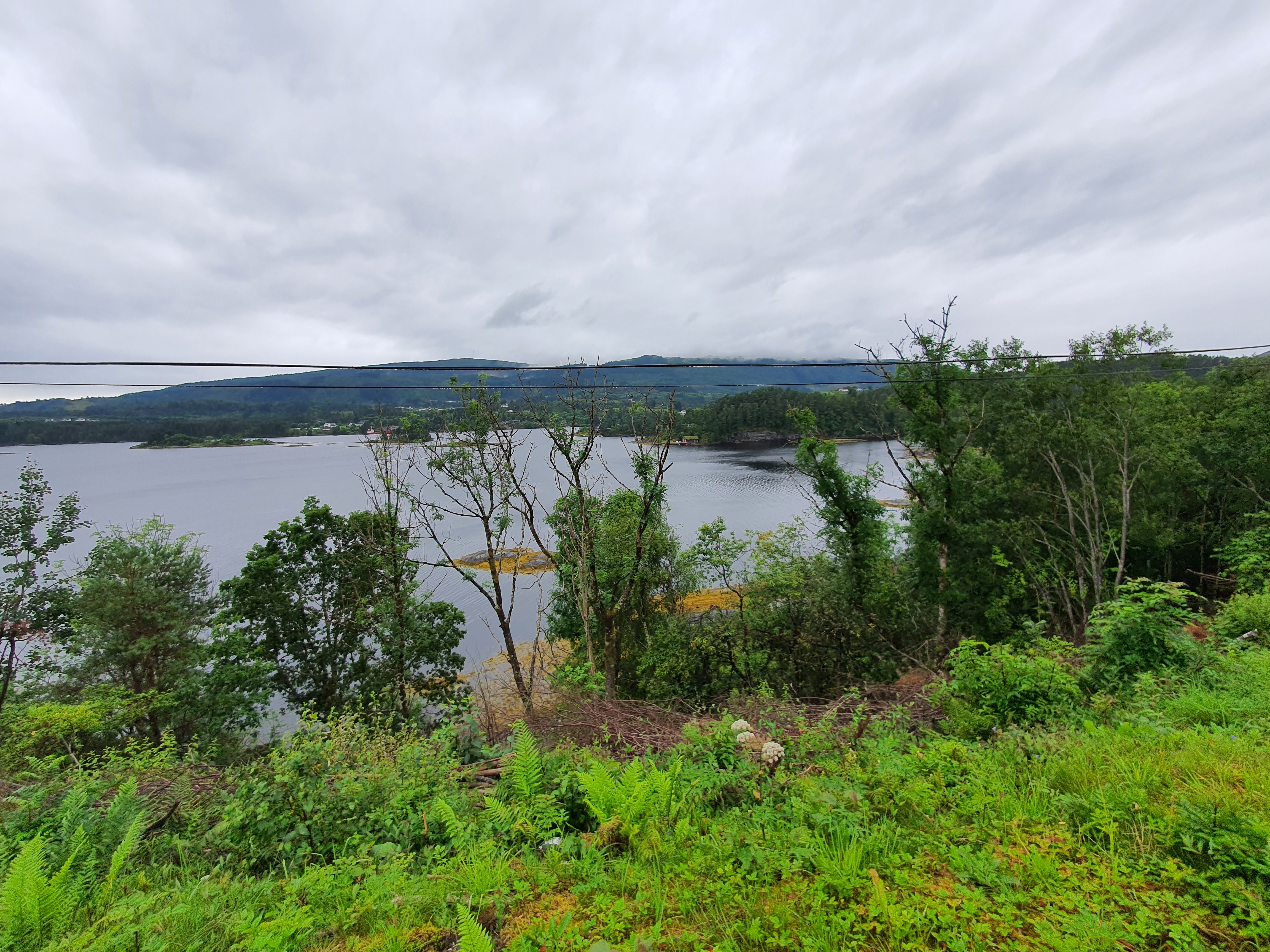 Grün in Norwegen