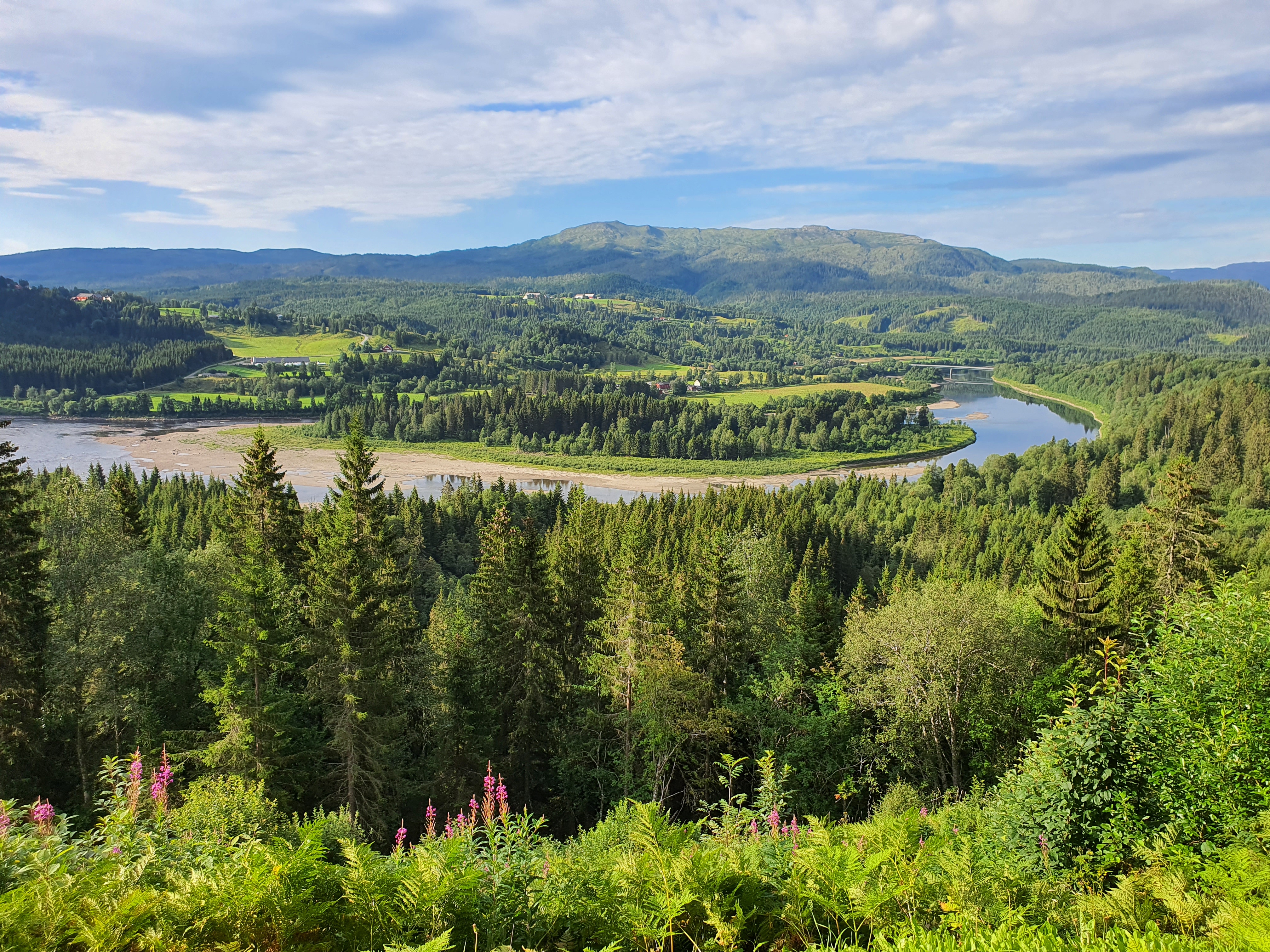 Landschaft