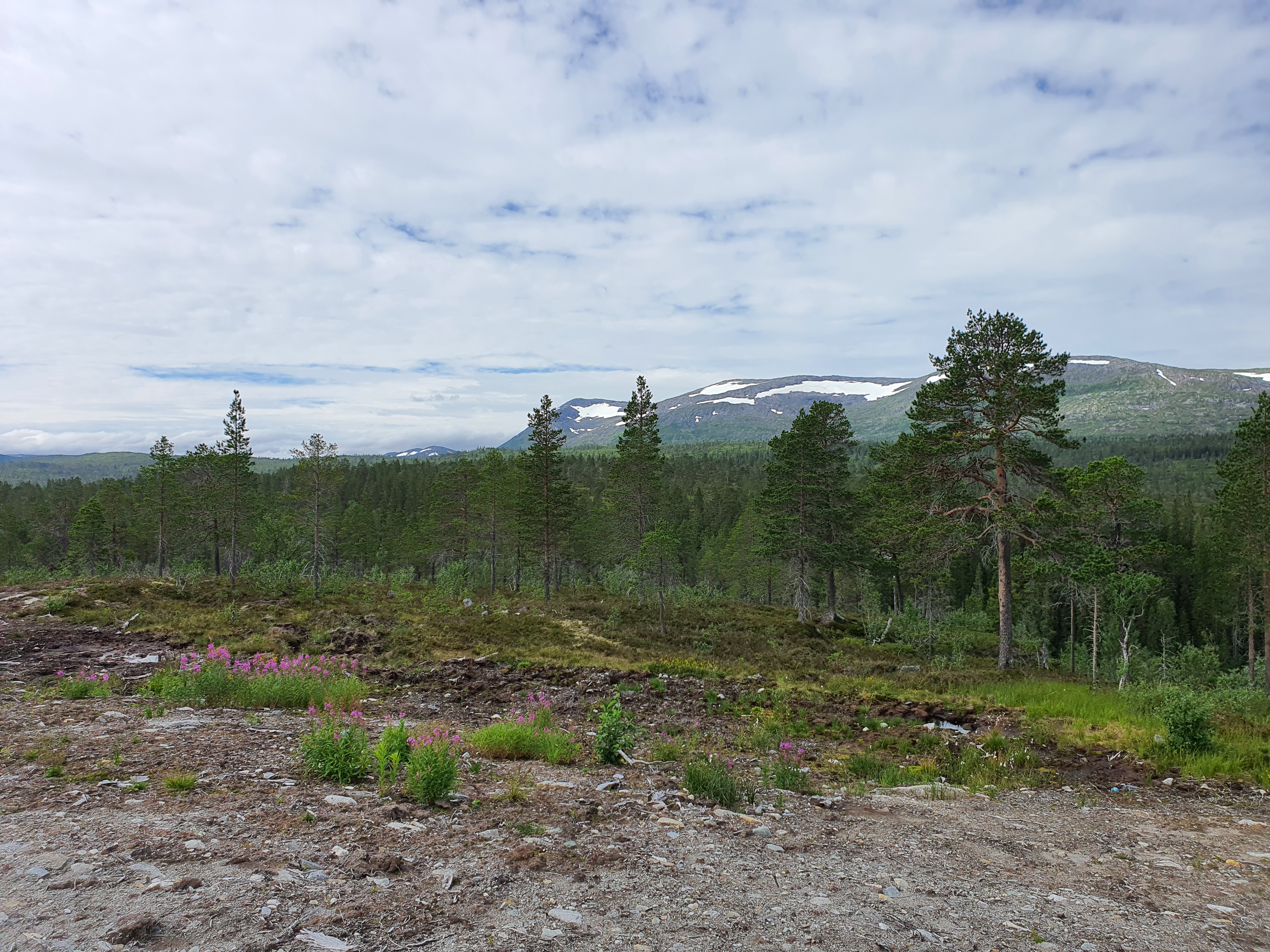 Blick in die Weite von Norwegen
