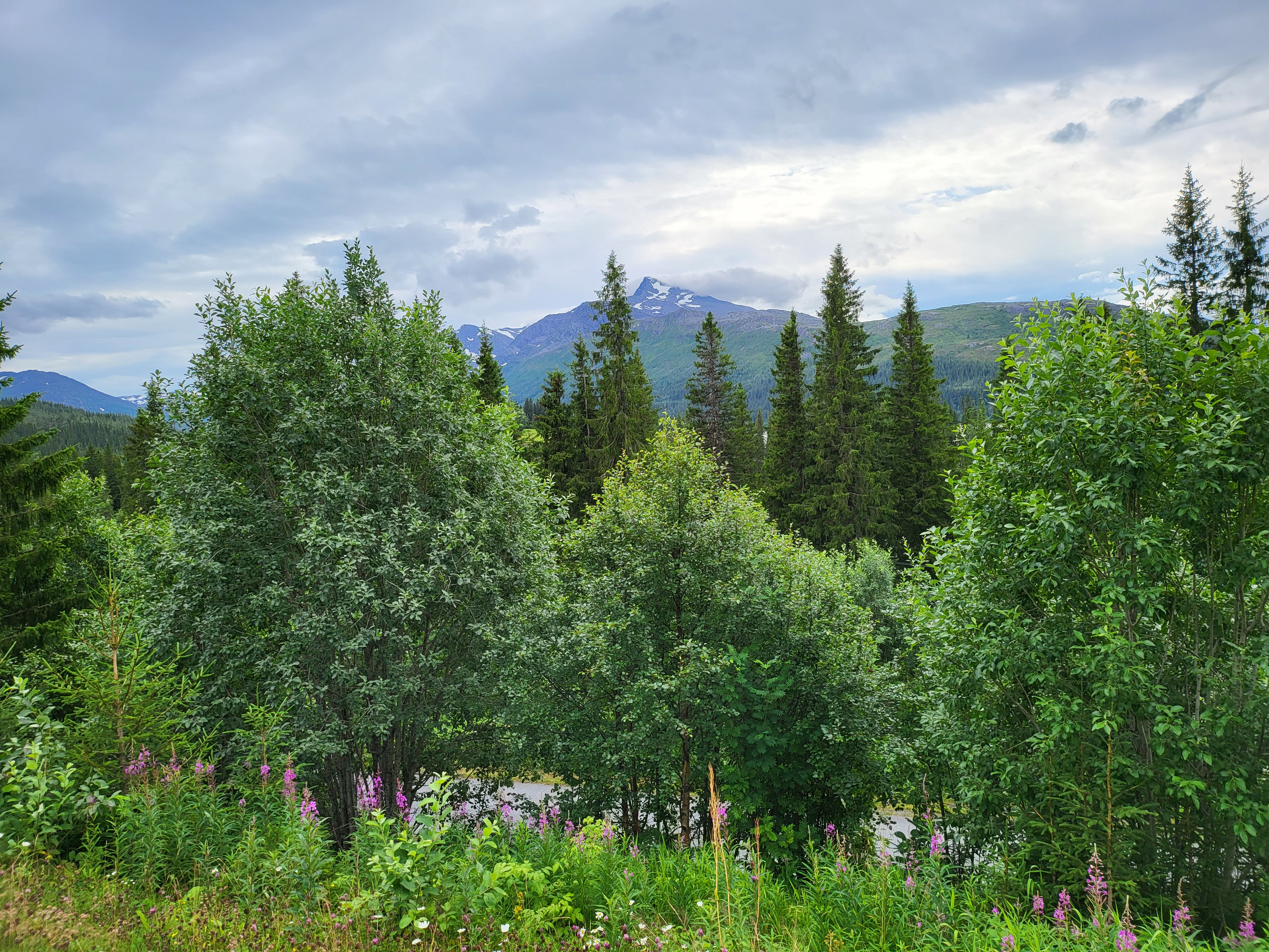 Blick in die Weite von Norwegen